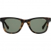 Damensonnenbrille Polaroid PLD 1016_S_NEW