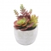 Plantă decorativă Versa Ceramică Plastic 12,7 x 15,24 x 12,7 cm