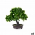 Dekorativ växt Bonsai Plast 27 x 28 x 14 cm (8 antal)