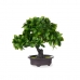 Dekorativ växt Bonsai Plast 27 x 28 x 14 cm (8 antal)