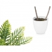 Декоративно Растение Палма Пластмаса 36 x 55,5 x 24 cm (6 броя)