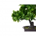 Dekorativ växt Bonsai Plast 27 x 28 x 14 cm (8 antal)