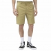 Pantalón corto Dickies Cobden Khaki  Caqui