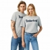 T-shirt Timberland Kennebec Linear Grå Mænd