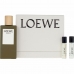 Set mit Herrenparfüm Loewe Esencia 3 Stücke