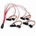 SATA Kabel Startech SAS808782P50        