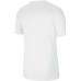 Мъжка тениска с къс ръкав DF PARK20 SS TOP CW6936 Nike 100 Бял