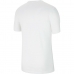 T-shirt à manches courtes homme DF PARK20 SS TOP CW6936 Nike 100 Blanc