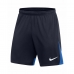 Lasten urheilushortsit Nike ACDPR SS TOP DH9287 451 Laivastonsininen