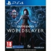 PlayStation 4 videojáték Square Enix Outriders Worldslayer