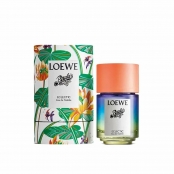 Paula's ibiza discount eclectic loewe