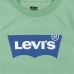 Camiseta Levi's Batwing Meadow  Aguamarina