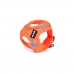 Imbracatura per Cani Gloria Trek Star 27-28 cm 31-34,6 cm Arancio XS