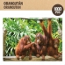 Головоломка Colorbaby Orangutan 6 штук 68 x 50 x 0,1 cm