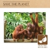 Puslespil Colorbaby Orangutan 6 enheder 68 x 50 x 0,1 cm