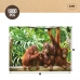 Puzzel Colorbaby Orangutan 6 Stuks 68 x 50 x 0,1 cm