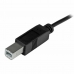 Kabel USB C naar USB B Startech USB2CB2M Zwart 2 m Multicolour