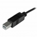 USB C till USB B Kabel Startech USB2CB2M Svart 2 m Multicolour
