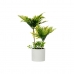 Dekorativ plante Palmera Plastik Cement 12 x 45 x 12 cm (6 enheder)