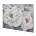 Schilderij Home ESPRIT Rozen Romantiek 120 x 3,7 x 80 cm (2 Stuks)