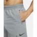 Мъжки Спортни Шорти Nike Pro Dri-FIT Flex Сив