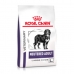 Sööt Royal Canin Neutered Adult Large Dog 13 kg