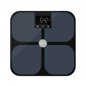 Medisana PS 100 - Analog Scale