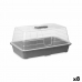 Seră Gri Transparent Plastic 38,4 x 17,5 x 24,7 cm (8 Unități)