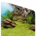 Poster Juwel 1 S Muurschildering Aquarium