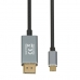 Adaptor USB C la DisplayPort Ibox ITVCDP4K Negru 1,8 m