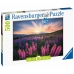 Pusle Ravensburger 17492 Lupines 500 Tükid, osad