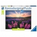 Puslespill Ravensburger 17492 Lupines 500 Deler