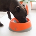 Hund Feeder Lickimat Oh Bowl Orange