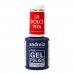 Gelinis nagų lakas Andreia La Dolce Vita DV3 Red 10,5 ml