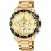 Herreur Festina F20634/6