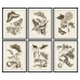 Πίνακας DKD Home Decor 50 x 2,5 x 65 cm Blomster Σύγχρονη (6 Τεμάχια)