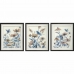 Πίνακας DKD Home Decor 50 x 2 x 60 cm Blomster Shabby Chic (3 Τεμάχια)