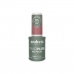 vernis à ongles Andreia True Pure 10,5 ml T26