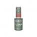 nagellak Andreia True Pure 10,5 ml T31