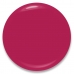 Make-up Set Bourjois   Fuchsia 3 Onderdelen