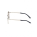 Herrsolglasögon Web Eyewear WE0242-5316X Ø 53 mm