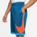 Basketbalbroek voor heren Nike Dri-Fit Blauw