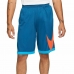 Basketbalbroek voor heren Nike Dri-Fit Blauw