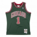 Basketball-skjorte Mitchell & Ness Chicago Bulls 2008-09 St Patrick's Day edition Nº8 Derrick Rose Grønn