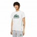 Kurzarm-T-Shirt Lacoste Weiß Unisex