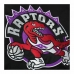 Ανδρικό Aθλητικό Mπουφάν Mitchell & Ness Toronto Raptors Μαύρο