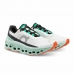 Laufschuhe für Erwachsene On Running Cloudmonster Aquamarin Damen