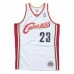 Basketbalové tričko Mitchell & Ness Cleveland Cavaliers 2008-09 Nº23 Lebron James Biela