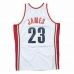 Koszulka do koszykówki Mitchell & Ness Cleveland Cavaliers 2008-09 Nº23 Lebron James Biały