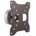 TV Mount Startech ARMWALL             